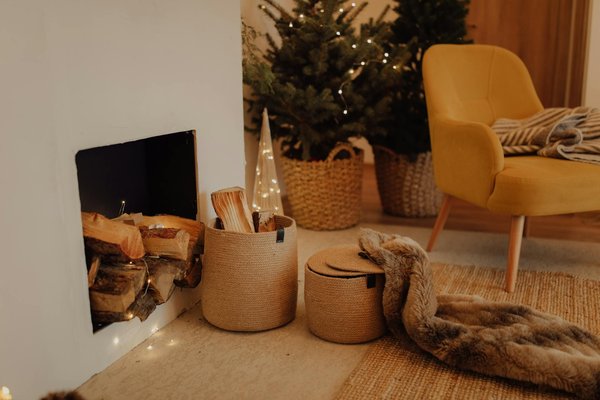 Create a Butterfly Haven: The Ultimate Guide to Native UK Plants for Your Garden