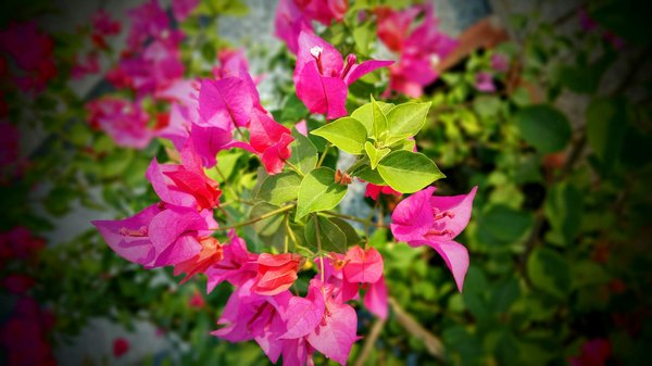 Explore the 2023 Revisions to UK Tenant Eviction Notice Laws: Essential Updates You Must Be Aware Of!